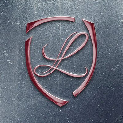LIDIS – logo premium si website de prezentare